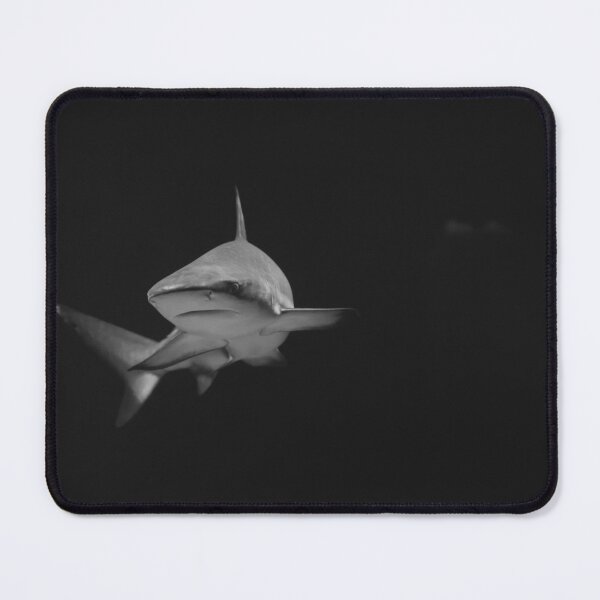 Item preview, shark photo with high resolution quality designed and sold by Allyouneed-2.