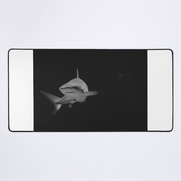 Item preview, shark photo with high resolution quality designed and sold by Allyouneed-2.