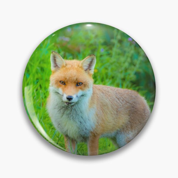 Item preview, #188 The Kegworth Fox Who Lived Near The Deep Lock designed and sold by phutball.