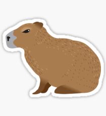 Capybara Sticker