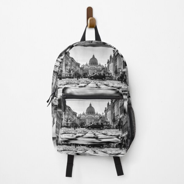 Item preview, Sistine Chapel Rome, Worms Eye View Black And White designed and sold by Paul Thompson Photography.