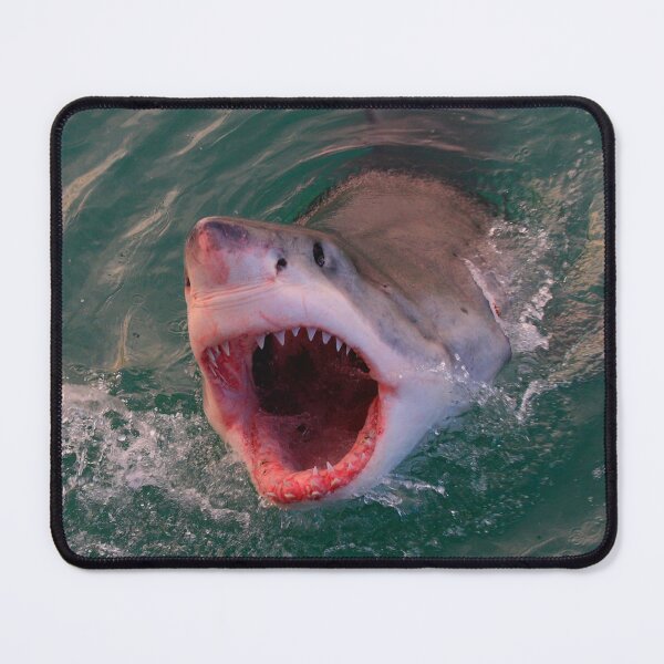 Item preview, shark photo with high resolution quality designed and sold by Allyouneed-2.