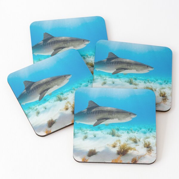 Item preview, shark photo with high resolution quality designed and sold by Allyouneed-2.