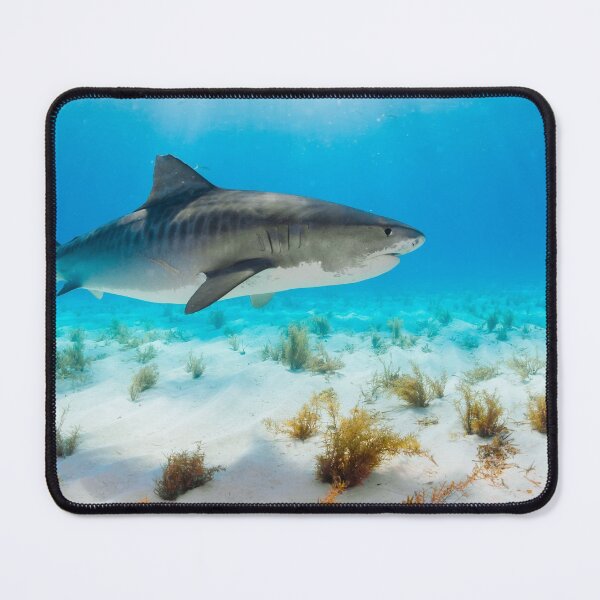 Item preview, shark photo with high resolution quality designed and sold by Allyouneed-2.