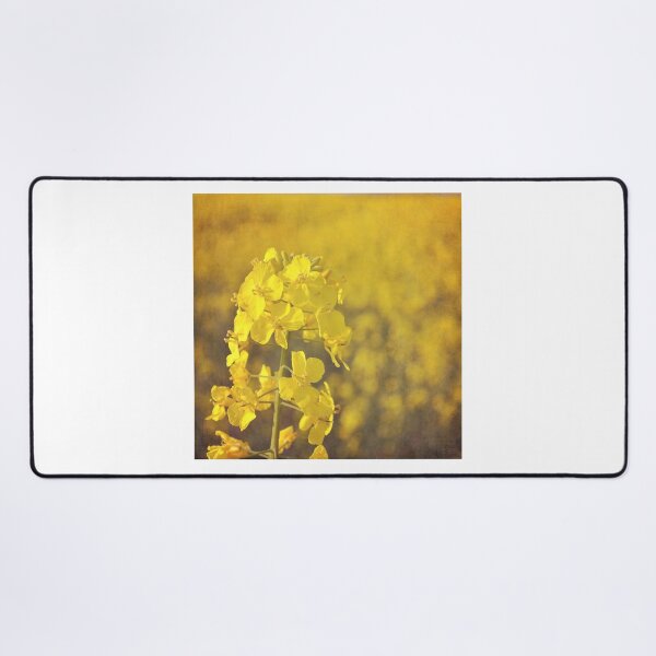 Item preview, Fields of gold. designed and sold by Lyn Randle.