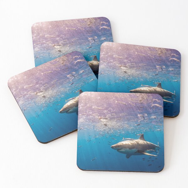 Item preview, shark photo with high resolution quality designed and sold by Allyouneed-2.