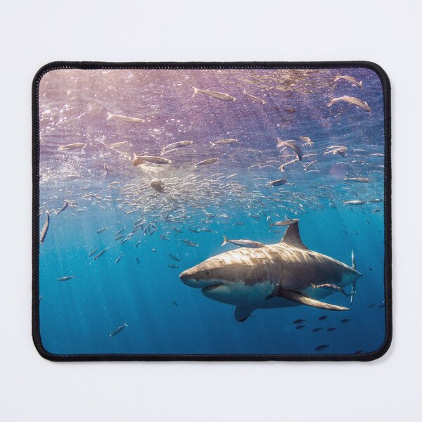 Item preview, shark photo with high resolution quality designed and sold by Allyouneed-2.