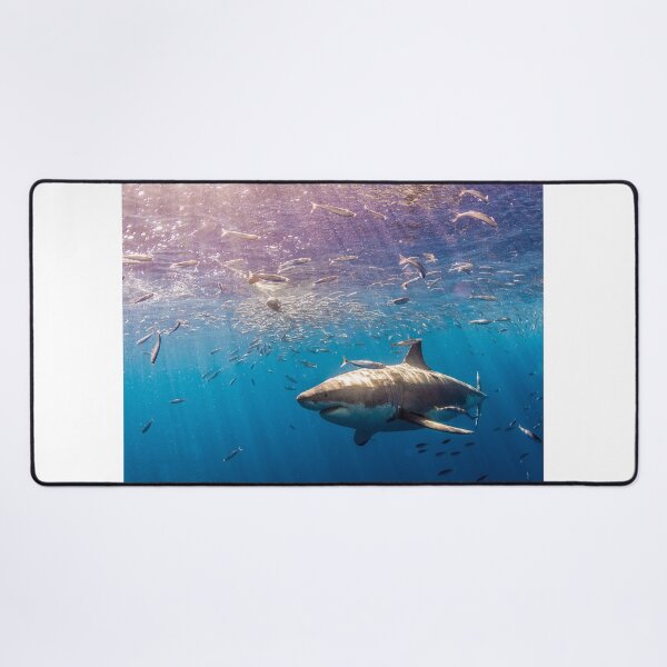 Item preview, shark photo with high resolution quality designed and sold by Allyouneed-2.