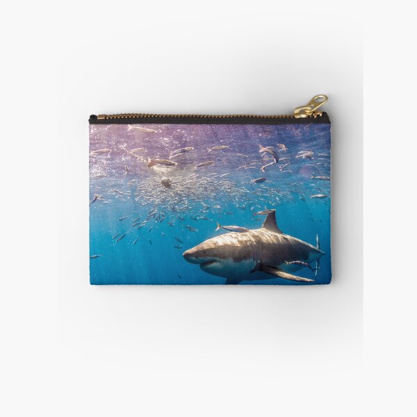 Item preview, shark photo with high resolution quality designed and sold by Allyouneed-2.