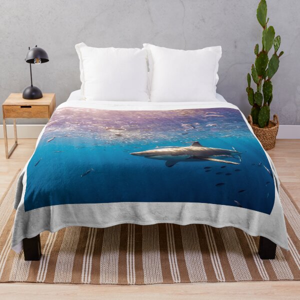 Item preview, shark photo with high resolution quality designed and sold by Allyouneed-2.