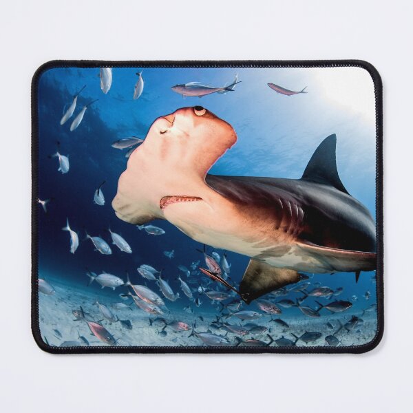 Item preview, shark photo with high resolution quality designed and sold by Allyouneed-2.