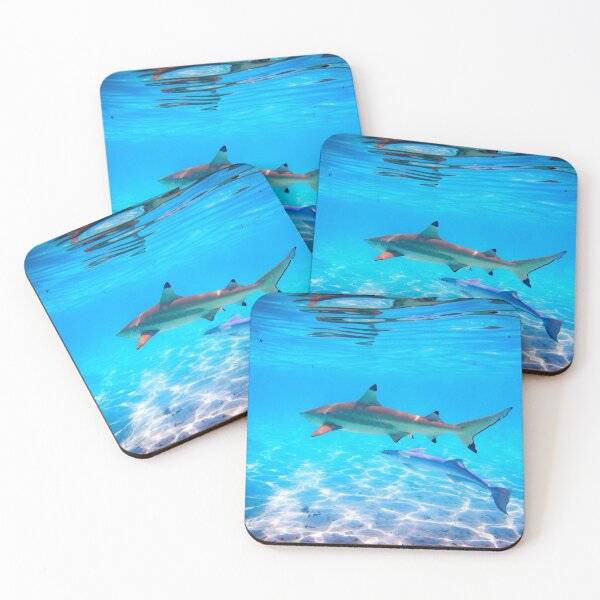 Item preview, shark photo with high resolution quality designed and sold by Allyouneed-2.