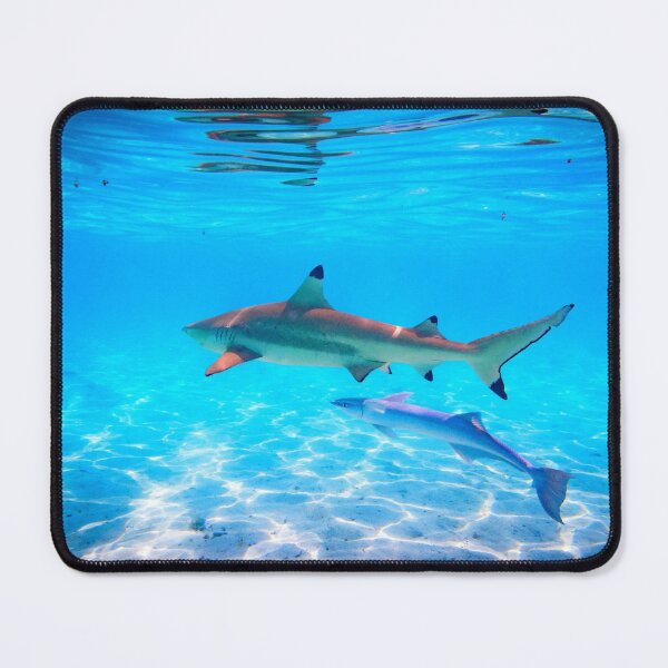 Item preview, shark photo with high resolution quality designed and sold by Allyouneed-2.