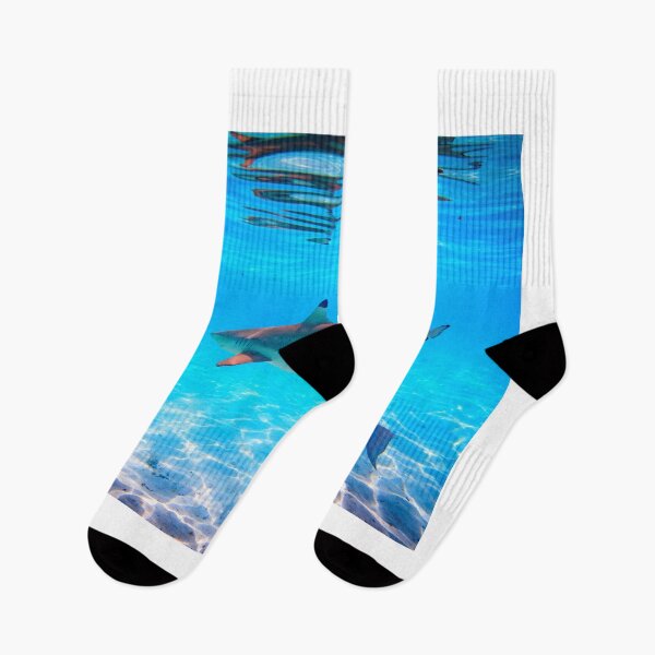 Item preview, shark photo with high resolution quality designed and sold by Allyouneed-2.