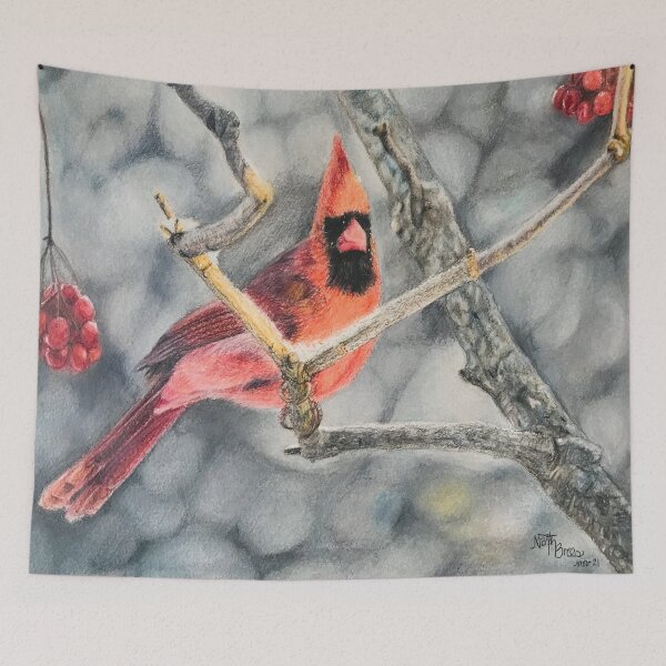 Item preview, Northern cardinal winter | bird lover designed and sold by NathBros.