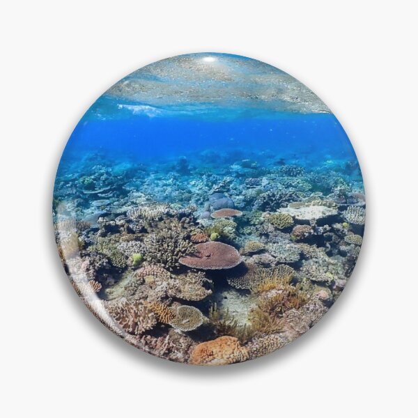 Item preview, Calming views under the sea designed and sold by alexislamb65.