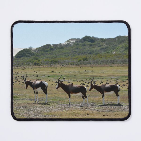 Item preview, Bontebok mousepad designed and sold by Roy-Babiuk.
