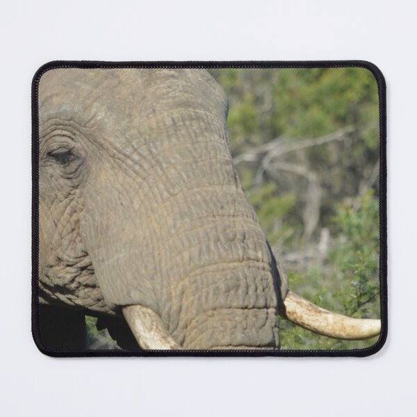 Item preview, Elephant closeup mousepad designed and sold by Roy-Babiuk.