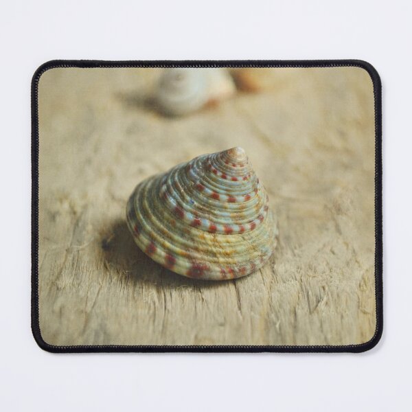 Item preview, Cone Shell. designed and sold by Lyn  Randle.