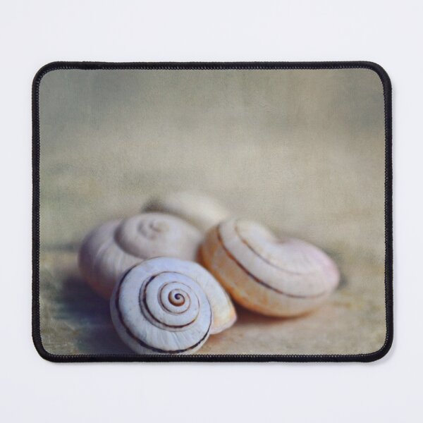 Item preview, Shell Still Life designed and sold by Lyn  Randle.