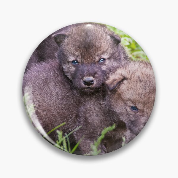 Artikelvorschau, Siblings entworfen und verkauft von WolvesOnly.