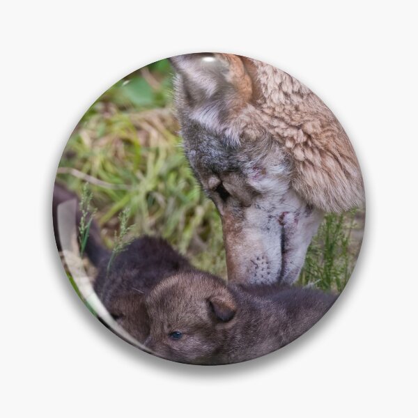 Artikelvorschau, Timber Wolf And Pups entworfen und verkauft von WolvesOnly.