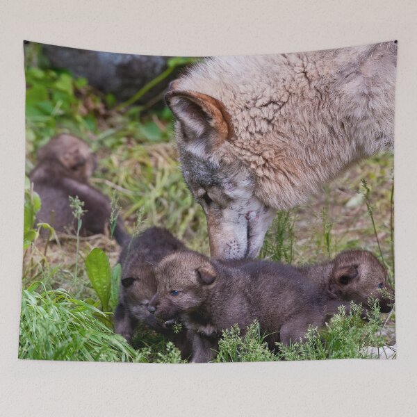 Item preview, Timber Wolf And Pups designed and sold by WolvesOnly.