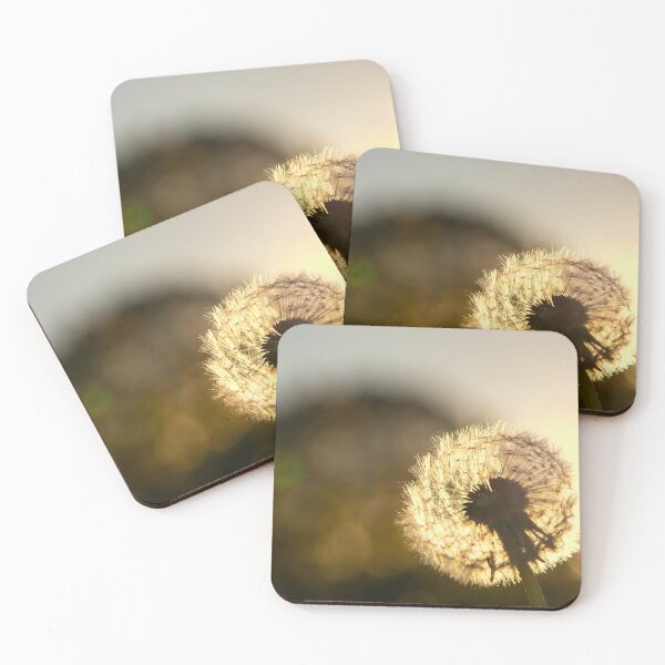 Item preview, Diente de león - Foto designed and sold by ShutterStudios.