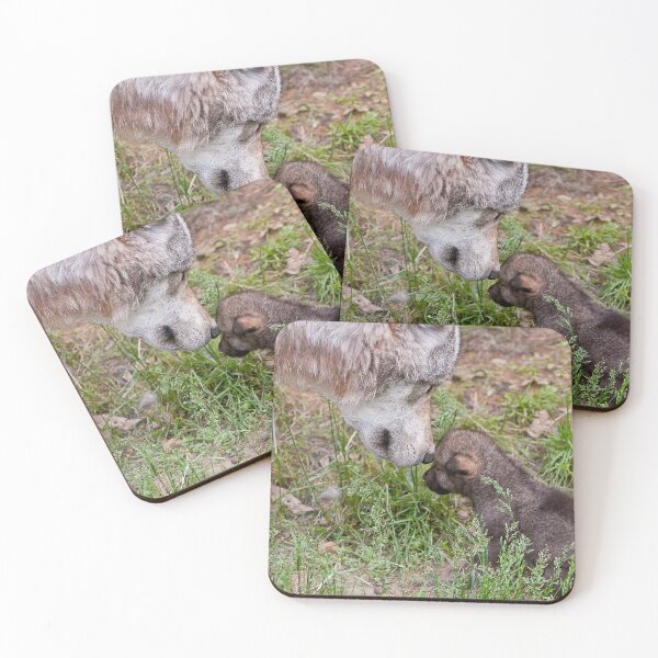 Artikelvorschau, Timber Wolf And Pup entworfen und verkauft von WolvesOnly.