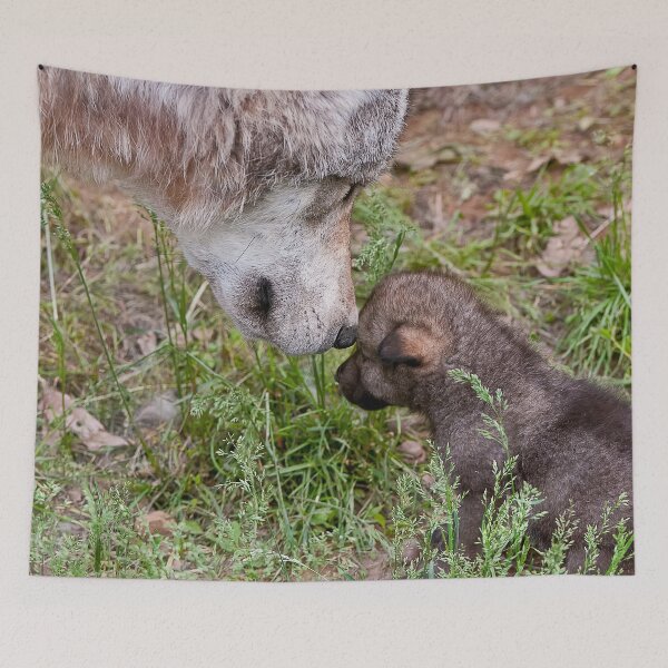 Artikelvorschau, Timber Wolf And Pup entworfen und verkauft von WolvesOnly.