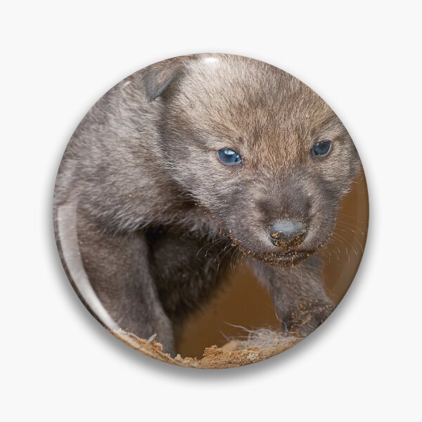 Item preview, Timber Wolf Pup designed and sold by WolvesOnly.