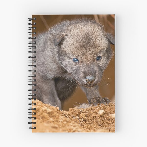 Item preview, Timber Wolf Pup designed and sold by WolvesOnly.