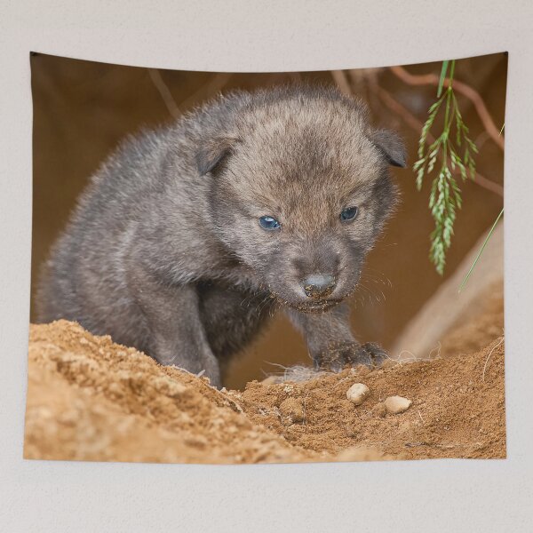Item preview, Timber Wolf Pup designed and sold by WolvesOnly.