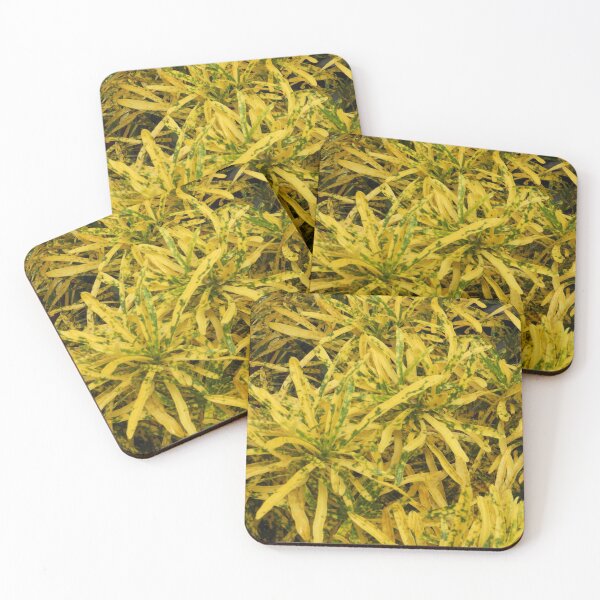 Item preview, Yellow and Green Garden Croton designed and sold by Elizabeth Elias.
