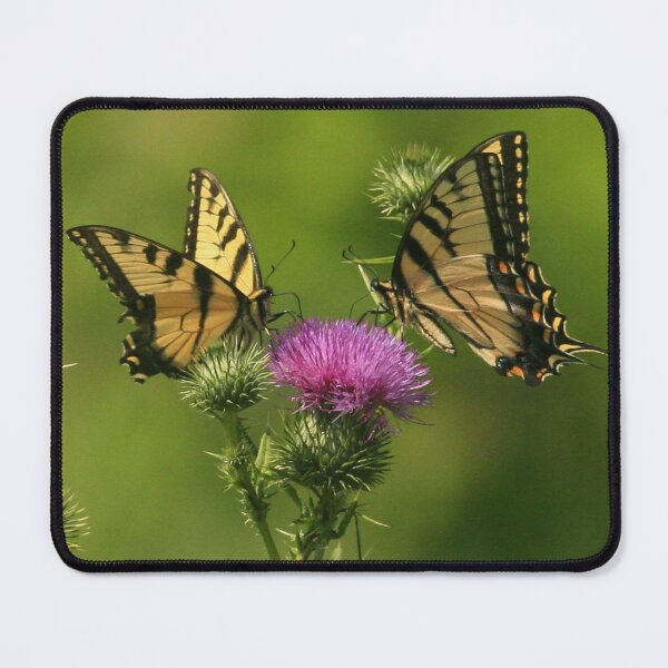 Item preview, Eastern Tiger Swallowtail designed and sold by Enola Gay Wagner.