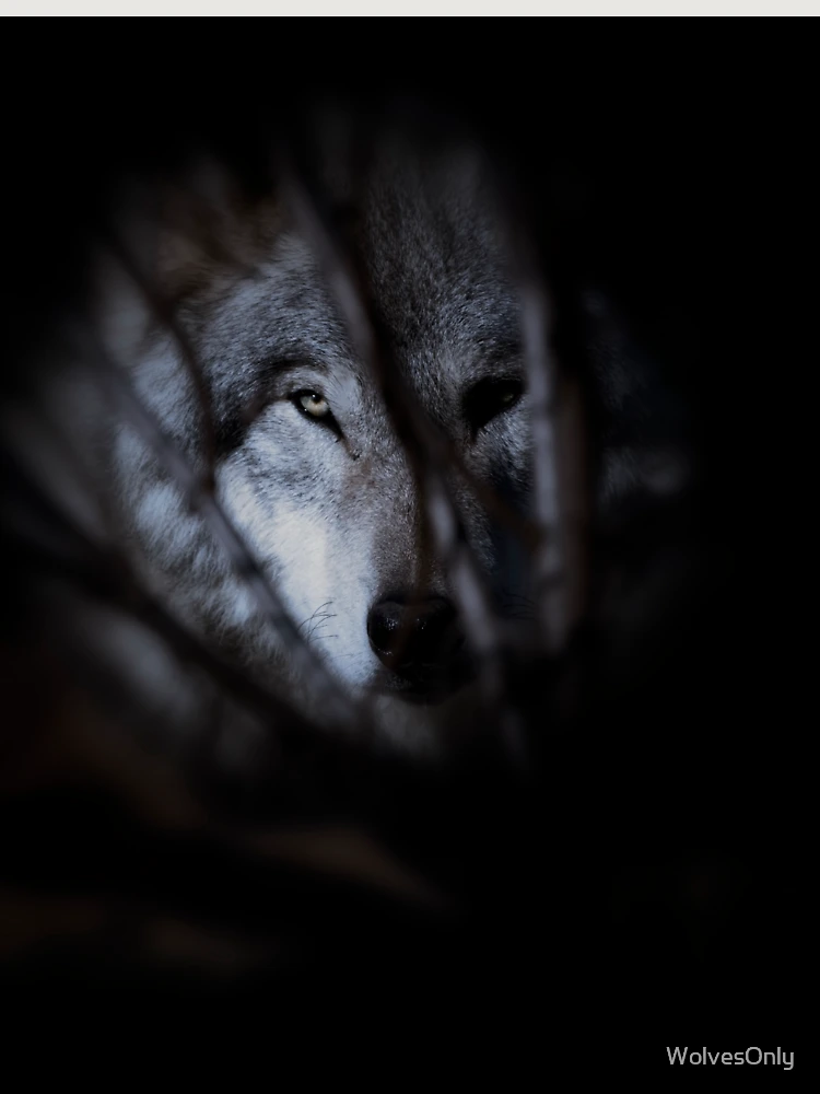 Thumbnail 6 von 6, Premium Oversized Pullover, Timber Wolf designt und verkauft von WolvesOnly.