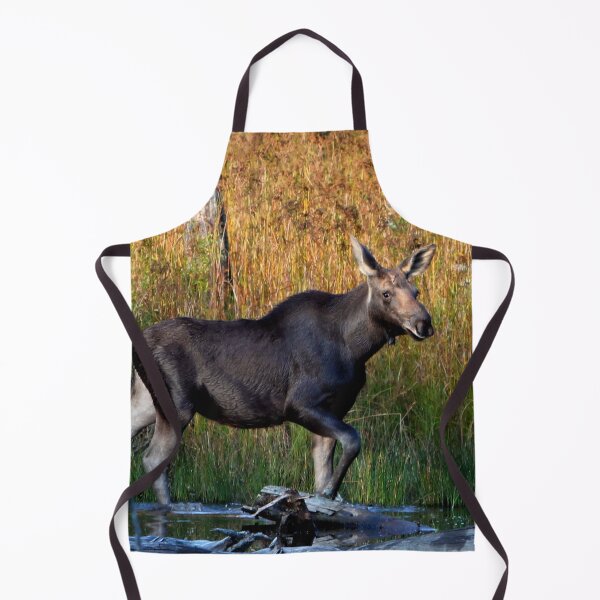 Item preview, Maine Moose, yearling bull designed and sold by Enola Gay Wagner.