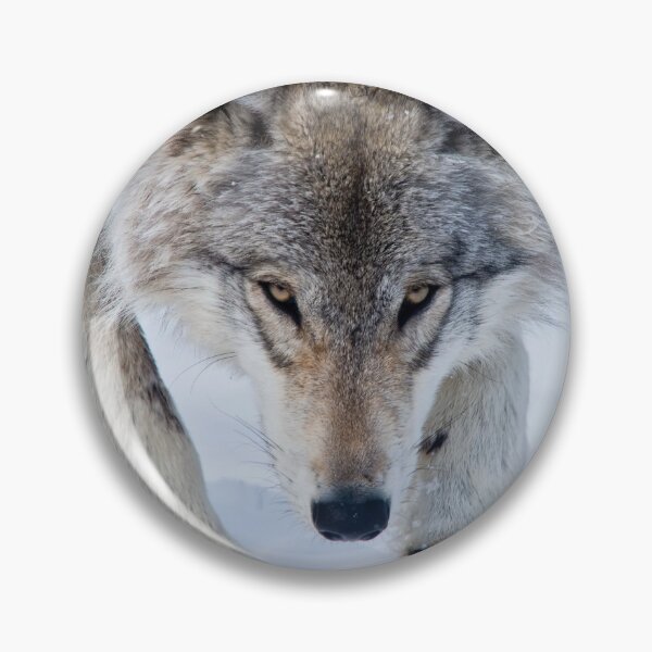 Item preview, Timber Wolf designed and sold by WolvesOnly.