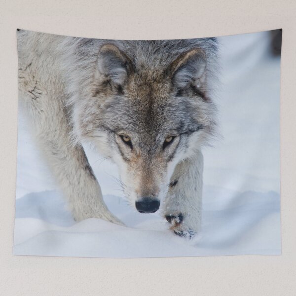 Artikelvorschau, Timber Wolf entworfen und verkauft von WolvesOnly.
