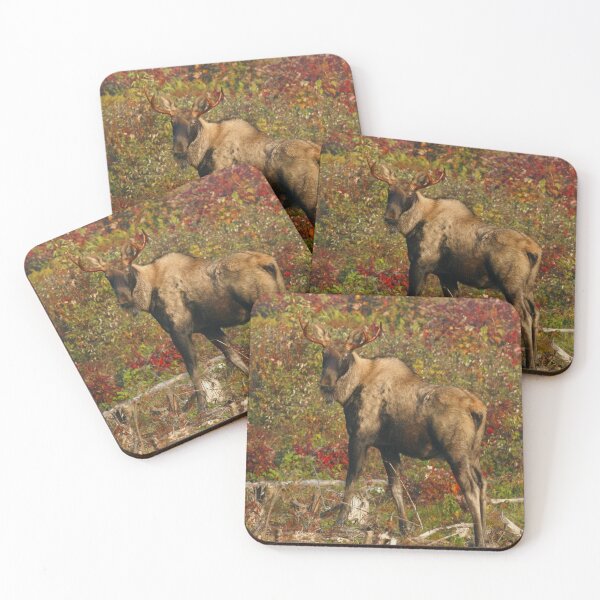 Item preview, Maine Bull piebald Moose in the fall designed and sold by Enola Gay Wagner.