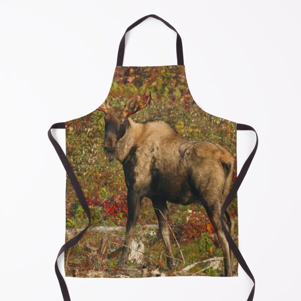Item preview, Maine Bull piebald Moose in the fall designed and sold by Enola Gay Wagner.
