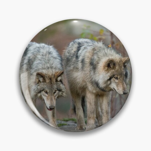 Artikelvorschau, Timber Wolves entworfen und verkauft von WolvesOnly.