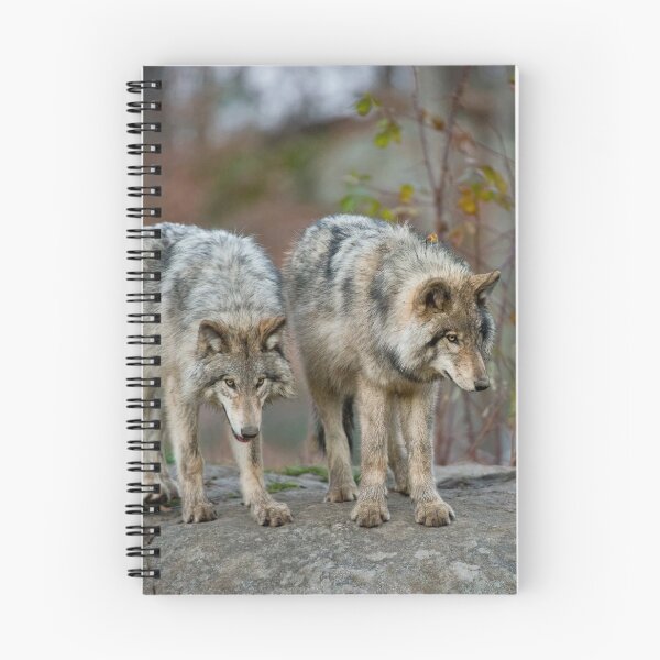 Artikelvorschau, Timber Wolves entworfen und verkauft von WolvesOnly.