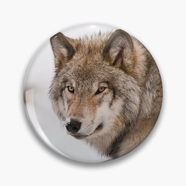 Artikelvorschau, Timber Wolf entworfen und verkauft von WolvesOnly.
