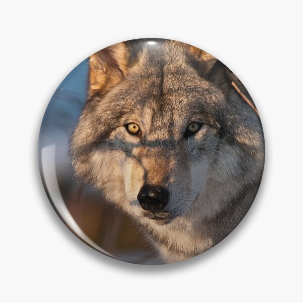 Artikelvorschau, Timber Wolf entworfen und verkauft von WolvesOnly.