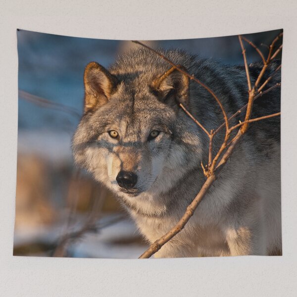 Artikelvorschau, Timber Wolf entworfen und verkauft von WolvesOnly.