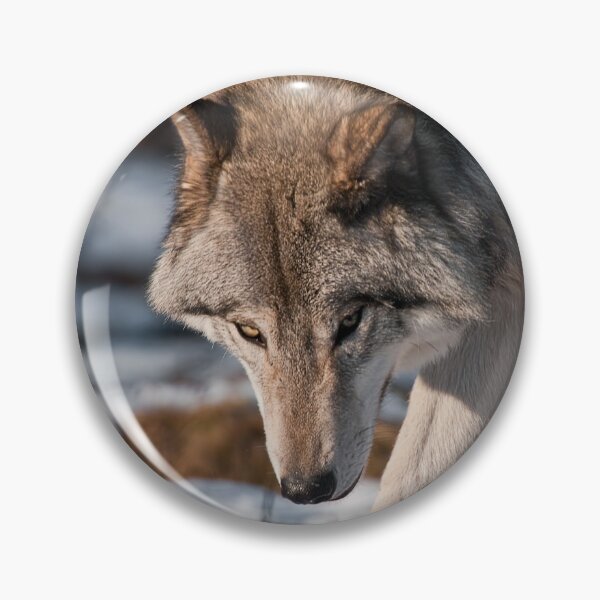 Item preview, Timber Wolf designed and sold by WolvesOnly.