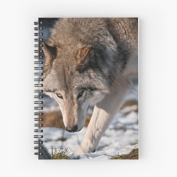 Artikelvorschau, Timber Wolf entworfen und verkauft von WolvesOnly.
