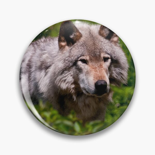 Item preview, Timber Wolf designed and sold by WolvesOnly.