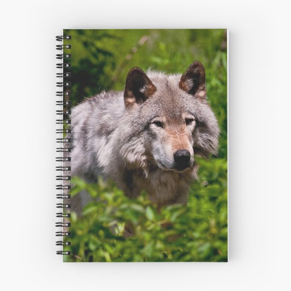 Item preview, Timber Wolf designed and sold by WolvesOnly.